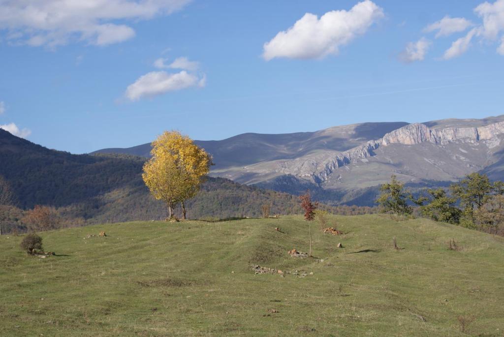 Vila Takht House Dilidžan Pokoj fotografie