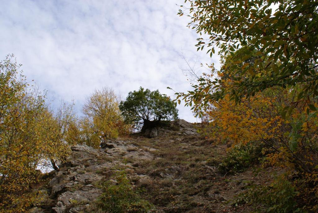 Vila Takht House Dilidžan Pokoj fotografie